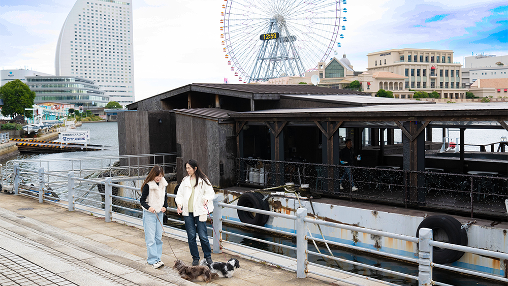 わんこと一緒にお散歩の時間に立ち寄れるHemingway横浜のイメージ