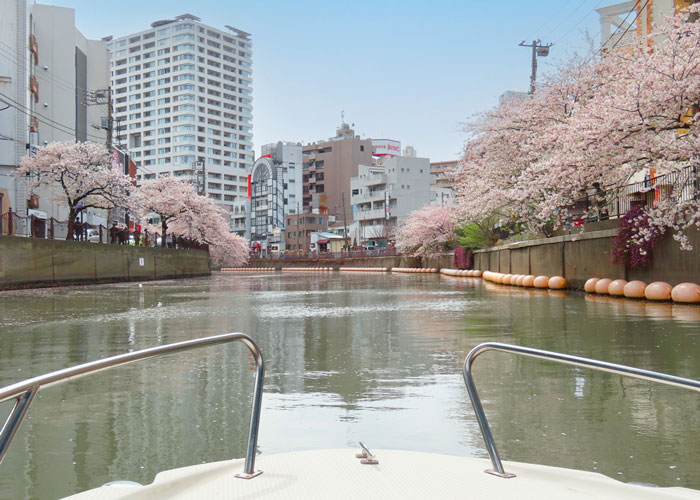 横浜港ボートパークのお花見クルーズプラン