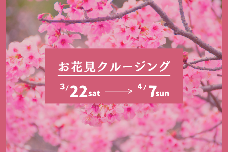 ヘミングウェイ横浜のお花見クルージング